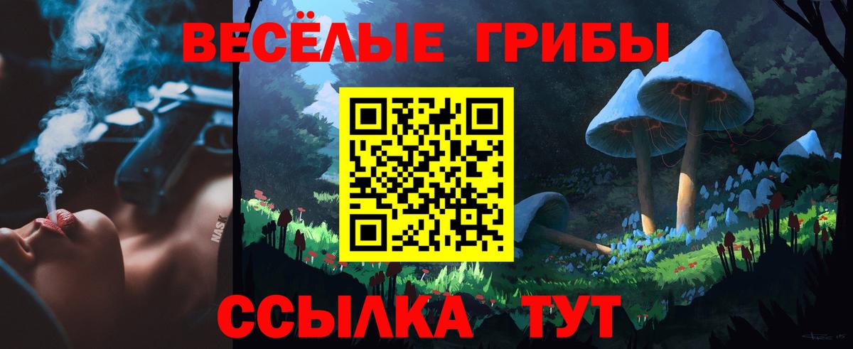 Азов  Галлюциногенные грибы Cubensis  Вход с VPN 